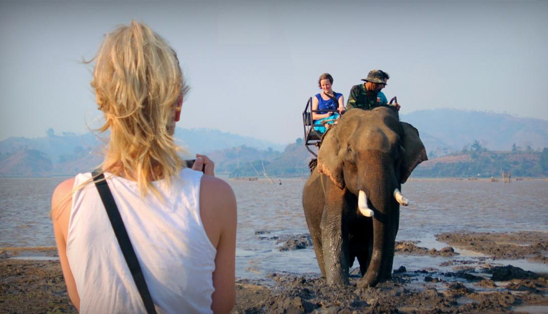 How to shoot an Elephant