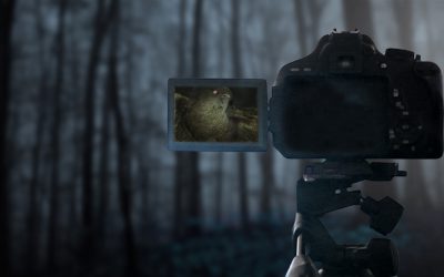 Forget Jurassic Park T-Rex. This is way more scary.