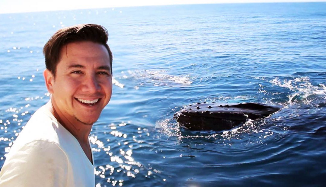 10 whale facts to bend your mind