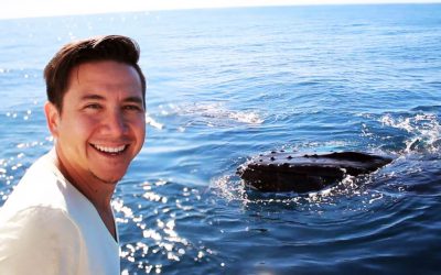 10 whale facts to bend your mind
