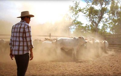 The unsung heroes of Australia’s cattle country